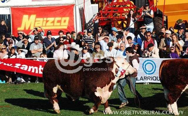El miércoles 24 competirá con tres hembras y el jueves 25 con un toro, según confirmó a @gesor el Ing. Agr.Rodrigo Fernández.